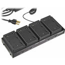 Dolgin Engineering TC40 Four-Position Simultaneous Battery Charger for Sony BP-U30, BP-U60, BP-U90