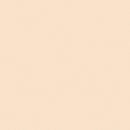 LEE Filters 1/4 CTO Daylight Conversion Filter - 48" x 25' (1.21 x 7.62 m) Roll