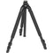 Slik 700DX Pro Tripod Legs (Black)