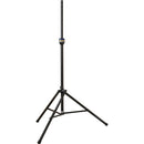 Ultimate Support TS-99B - Aluminum Speaker Stand (Matte Black)