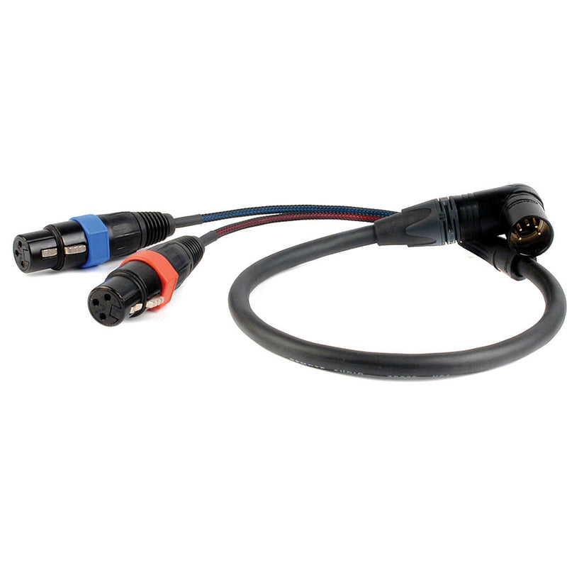 Remote Audio CAXSTEX5MR Dual 3-Pin XLR-F to 5-Pin Angled XLR-M Stereo Cable (24")