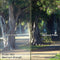 Formatt Hitech 138mm Low Contrast 1 Filter
