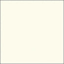 Savage Widetone Seamless Background Paper (