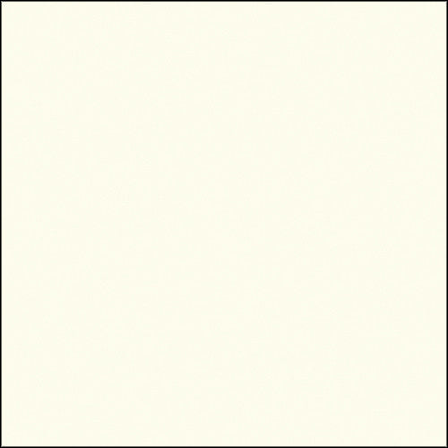 Savage Widetone Seamless Background Paper (