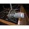 Heil Sound PR 40 Dynamic Cardioid Studio Microphone (Champagne)