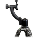 Wimberley Arca Sidekick Ball to Gimbal Head Adapter