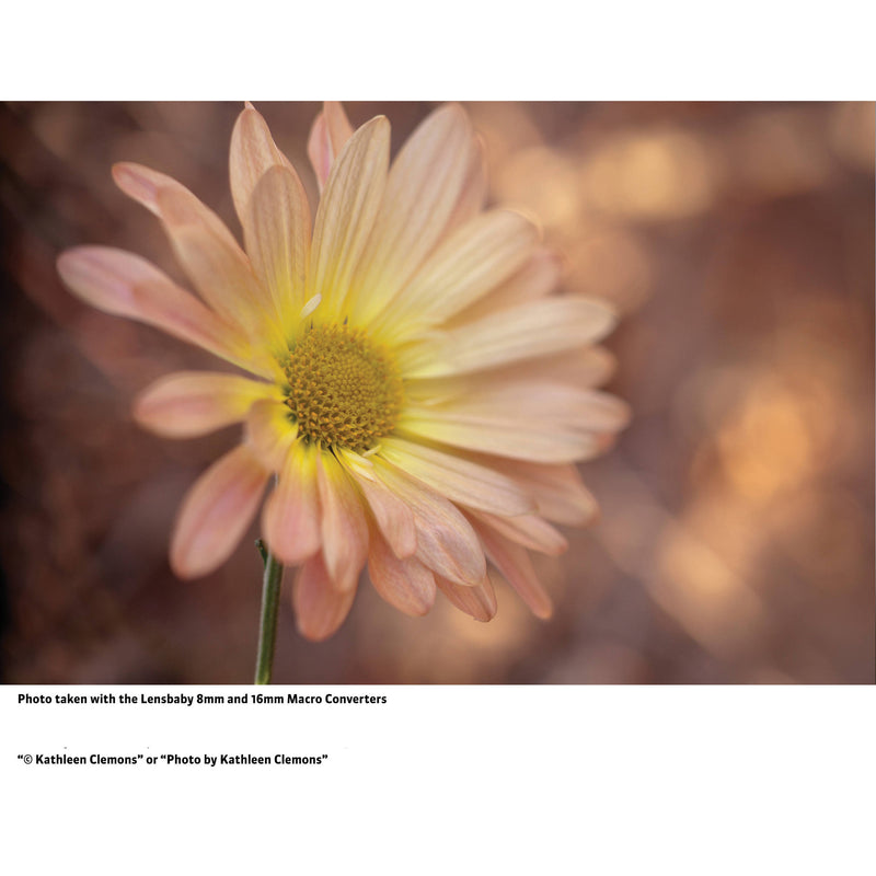 Lensbaby Macro Converter Extension Rings for Lensbaby