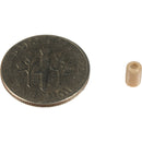Countryman Protective Cap for the B6 Lavalier Microphone (Beige)