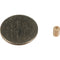 Countryman Protective Cap for the B6 Lavalier Microphone (Beige)