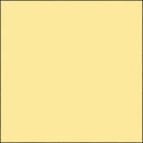 Savage Widetone Seamless Background Paper (