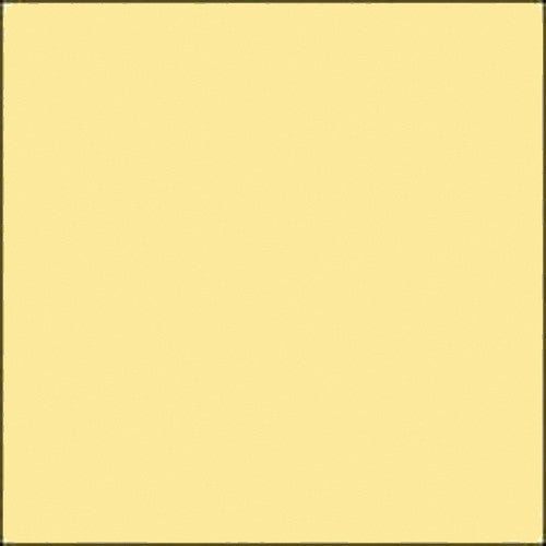 Savage Widetone Seamless Background Paper (