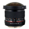 Rokinon 8mm f/3.5 HD Fisheye Lens with Removable Hood for Pentax K