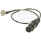 Ambient Recording 15.8" 3-Pin XLR Female to BNC Right Angle Timecode-In Cable for Timecode Clockit Devices (Black)
