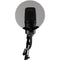 Auray PFMR Metal Pop Filter with Gooseneck (5.5")