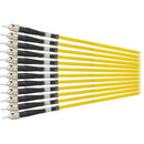 Camplex 1000' 12-Channel ST Single-Mode Tactical Fiber Optical Snake Cable