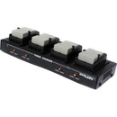 Dolgin Engineering TC40 Four Position Battery Charger for Canon LP-E8 Batteries