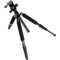 FEISOL CT-3441S Travel Rapid Carbon Fiber Tripod with CB-40D Ball Head