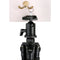 Manfrotto MT190CXPRO4 Carbon Fiber Tripod with 490 Center Ball Head and Accessories Kit