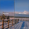 Singh-Ray 82mm LB Neutral Circular Polarizer Filter