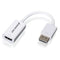 IOGEAR DisplayPort to HDMI Adapter Cable