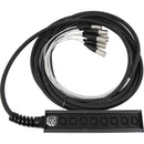Pro Co Sound StageMASTER 8-Channel XLR Stage Snake (25')
