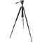 Celestron 20x70 Echelon Binocular Kit