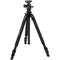 Slik Pro 700BHX AMT Tripod with SBH-808DQ Ball Head