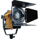 Dot Line RPS Studio CooLED 1500 Daylight Fresnel