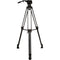 E-Image EG10A2 2-Stage Aluminum Tripod with GH10 Head