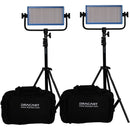 Dracast LED500 Pro Bi-Color LED 2-Light Kit with V-Mount Battery Plates and Stands
