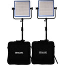 Dracast LED1000 Pro Daylight 2-Light Kit with V-Mount Battery Plates and Stands