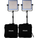 Dracast LED1000 Pro Daylight LED 2-Light Kit with Gold Mount Battery Plates and Stands