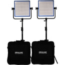 Dracast LED1000 Pro Bi-Color LED 2-Light Kit with Stands and V-Mount Battery Plates