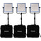 Dracast LED1000 Pro Bi-Color LED 3-Light Kit with Gold Mount Battery Plates and Stands