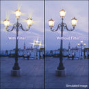 Tiffen 4 x 5.65" Hollywood Star Effect Glass Filter