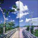 Tiffen 5 x 6" 85 Linear Polarizer Filter