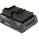 Dolgin Engineering TC200-i Two Position Battery Charger for Sony NP-FW50 with Test Discharge Module