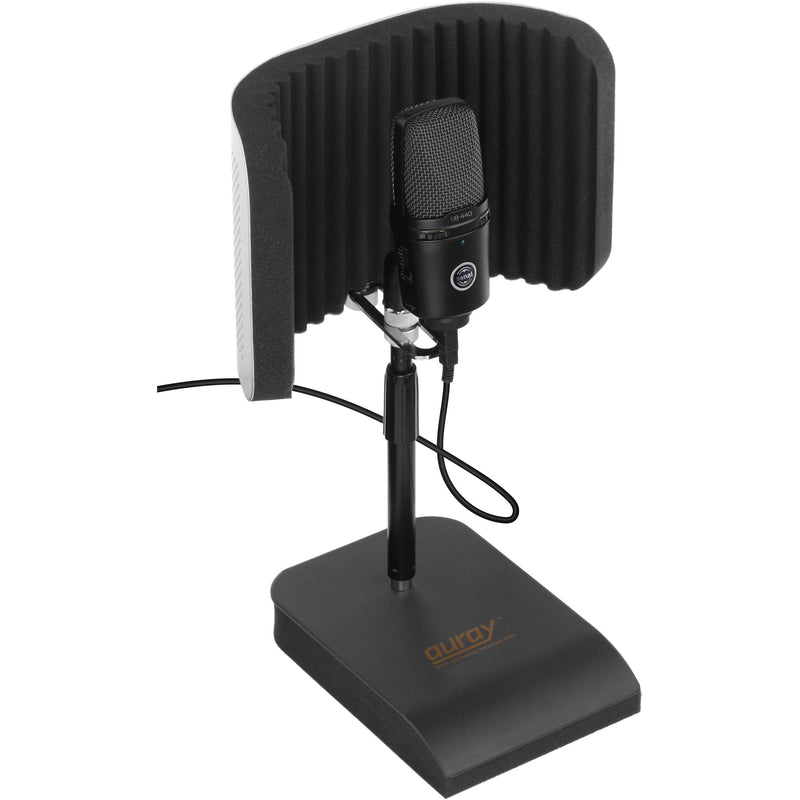 Polsen USB Mic with Desktop Reflection Filter and Mic Stand Kit