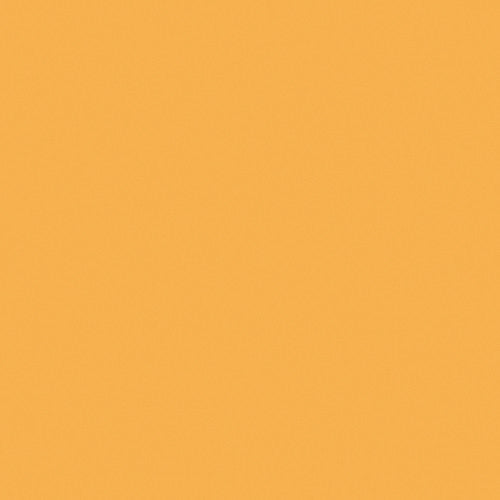 Rosco Digital After Dark Filter Kit (12 x 12")