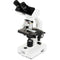 CELESTRON LABS CB2000CF Compound Binocular Microscope with 4.3 x 4.7" Mechanical Stage