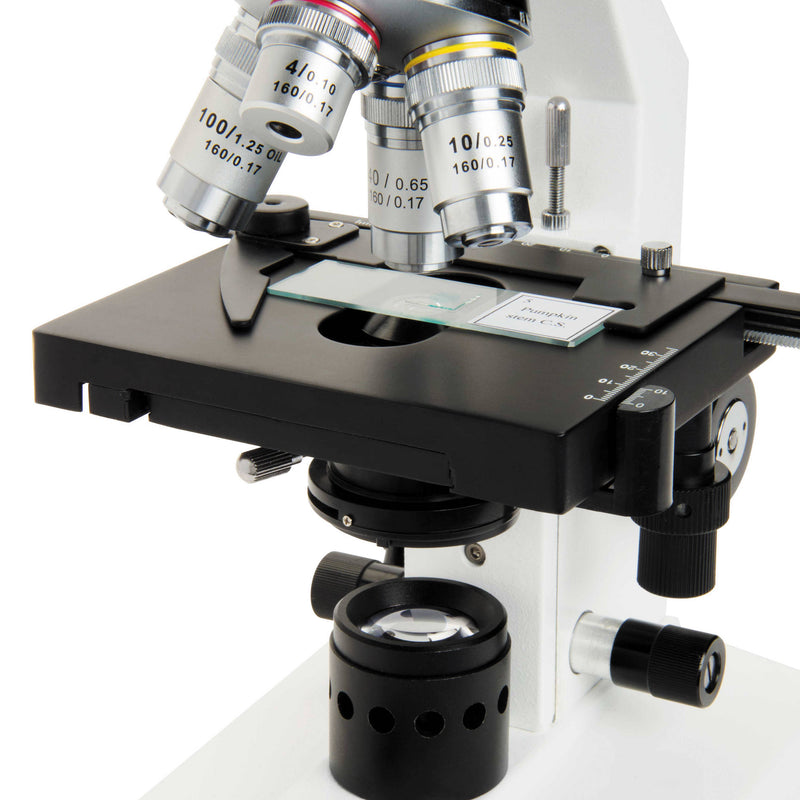 CELESTRON LABS CB2000CF Compound Binocular Microscope with 4.3 x 4.7" Mechanical Stage