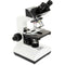 CELESTRON LABS CB2000C Compound Binocular Microscope with 5.5 x 5.5" Mechanical Stage