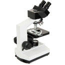 CELESTRON LABS CB2000C Compound Binocular Microscope with 5.5 x 5.5" Mechanical Stage