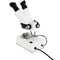 CELESTRON LABS S10-60 Stereo Microscope