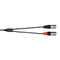 Hosa Technology 3.5" Stereo Mini to Dual 3-Pin XLR Male Breakout Cable (10')