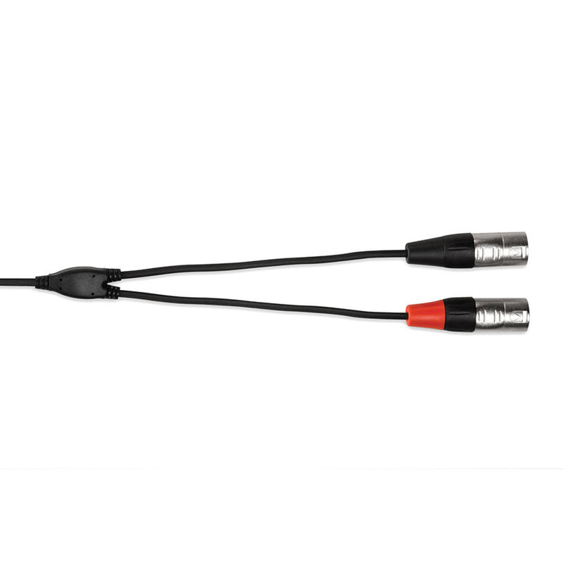 Hosa Technology 3.5" Stereo Mini to Dual 3-Pin XLR Male Breakout Cable (10')