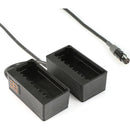 Remote Audio 24" BDS Input Cable with Two NP-1 Battery Cups to TA4F