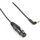 Remote Audio Unbalanced Adapter Cable XLR3F to 3.5mm RA TRS for Stereo Mini-Cam Inputs (18")