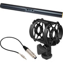 Azden SGM-250 Shotgun Microphone & Shockmount Kit with Low to High Impedance Matching Transformer