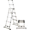 Telesteps Combi Ladder (12')